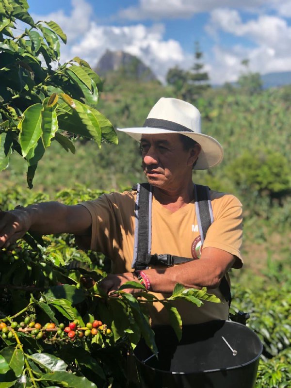 Coffee farm guatape